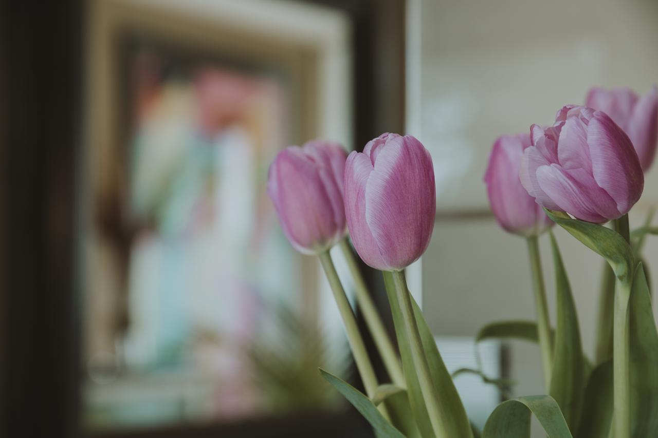 B&B Ines Sant Cugat del Vallès Екстериор снимка